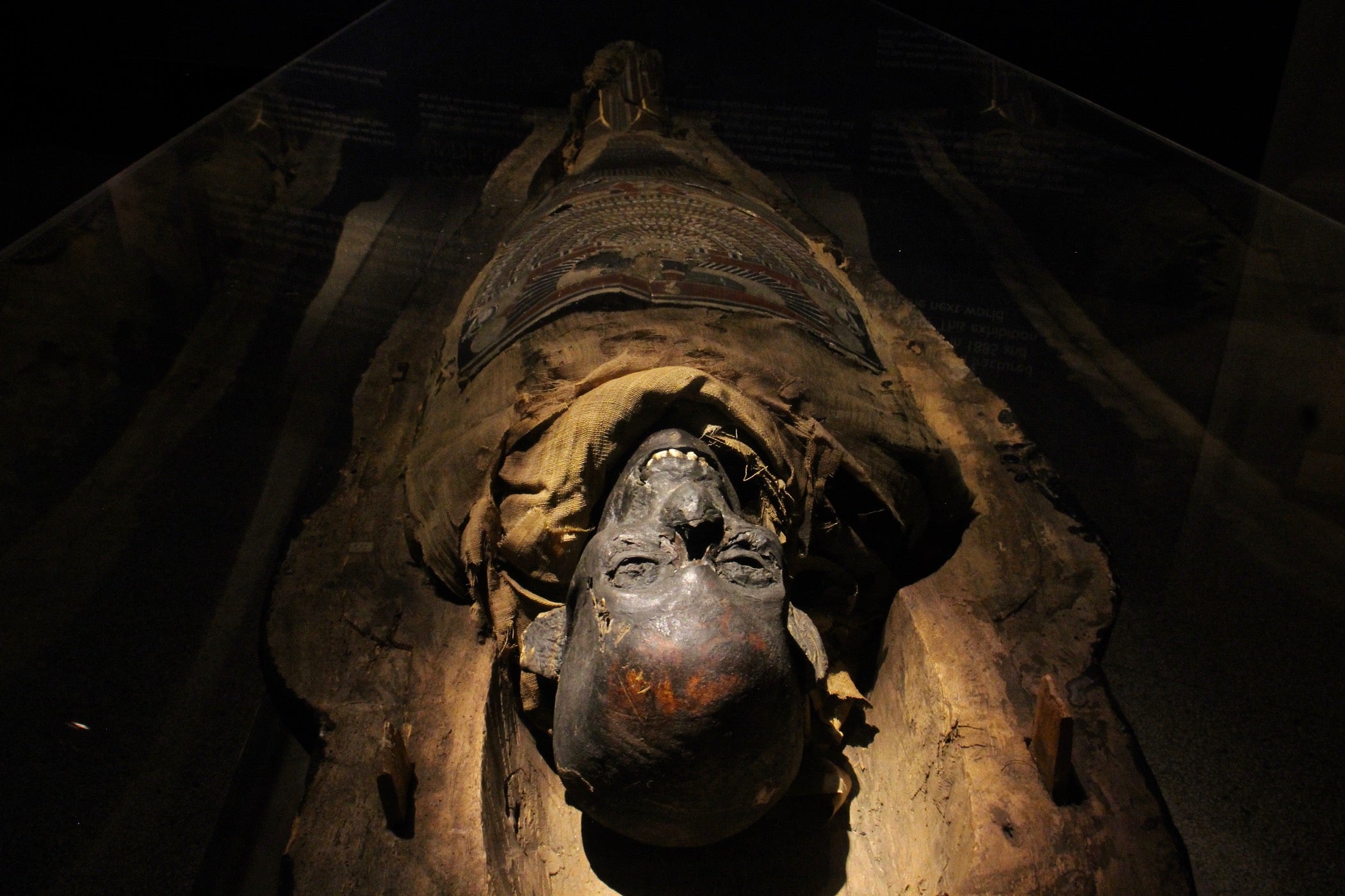 Reading Public Museum brings its 2,300-year-old mummy to life - WHYY