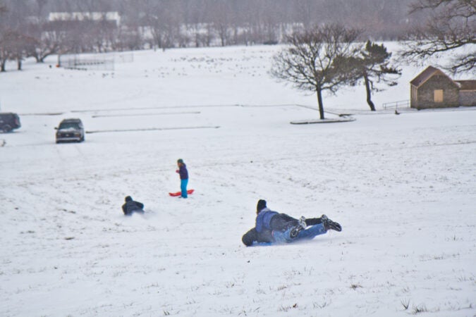 Residents sled in Fairmount Park