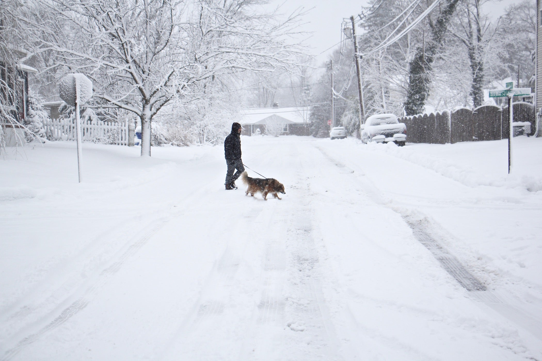 A man takes an early morning walk with his dog on an unplowed street in Moorestown, N.J.