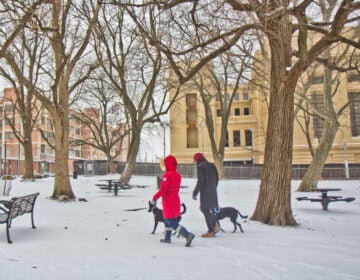 2021 02 18 k paynter snow storm-14 Two pups and their humans take a snowy walk at Penn Treaty Park