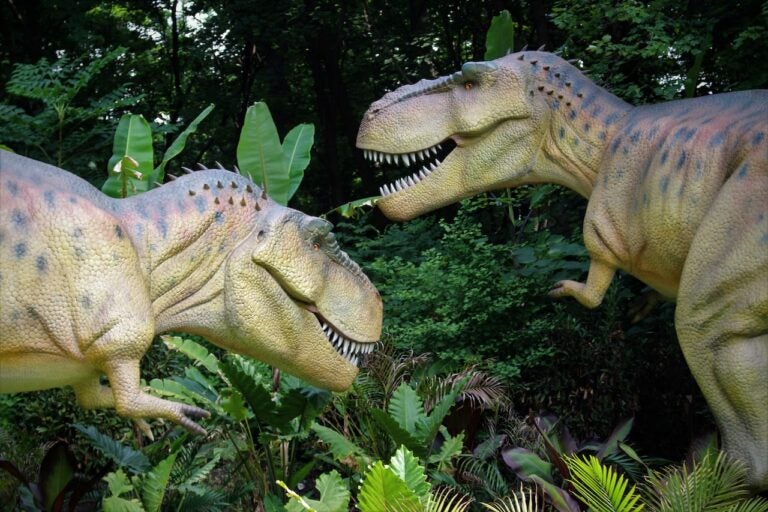 A pair of animatronic T-Rexes