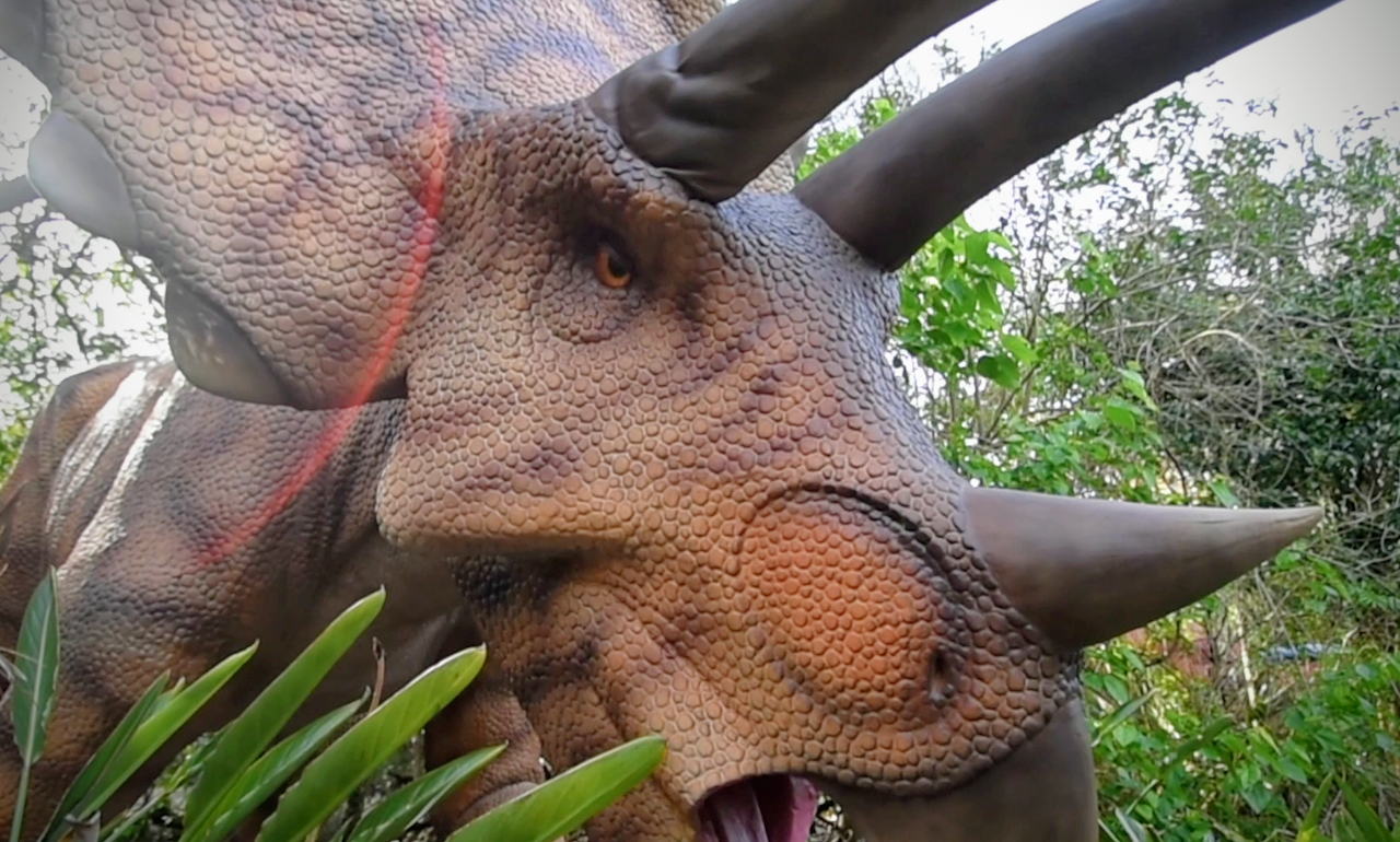 An animatronic Triceratops