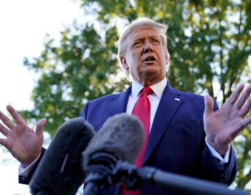 President Donald Trump speaks to reporters on the South Lawn