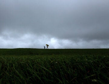 Storm clouds gather