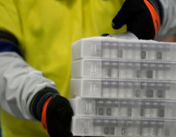 A worker carries boxes containing the Pfizer-BioNTech COVID-19 vaccine that were being prepared for shipment from a Pfizer facility in Portage, Mich., in December. (Morry Gash/Pool/Getty Images)