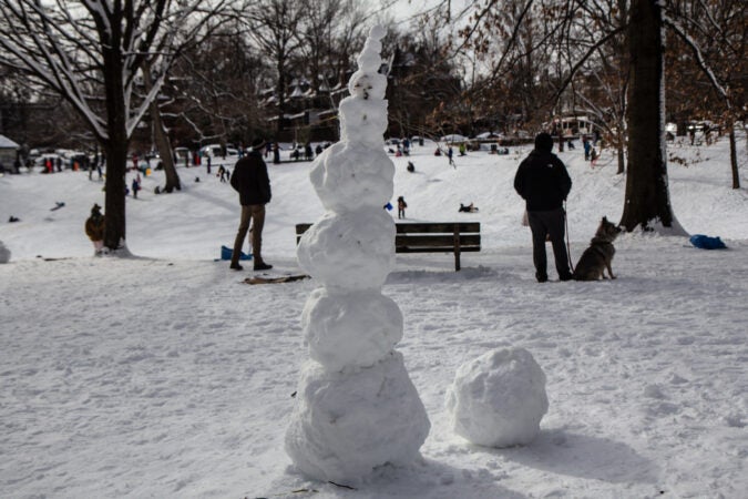 A very tall snowman at Clark Park