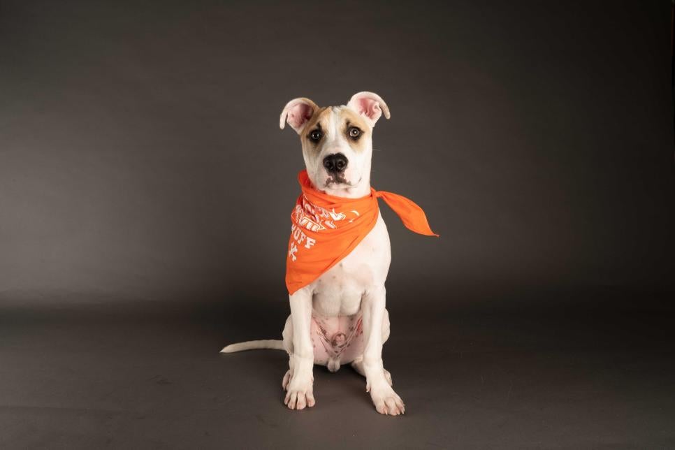 Patrick stands up straight for the camera while wearing a Team Ruff bandana