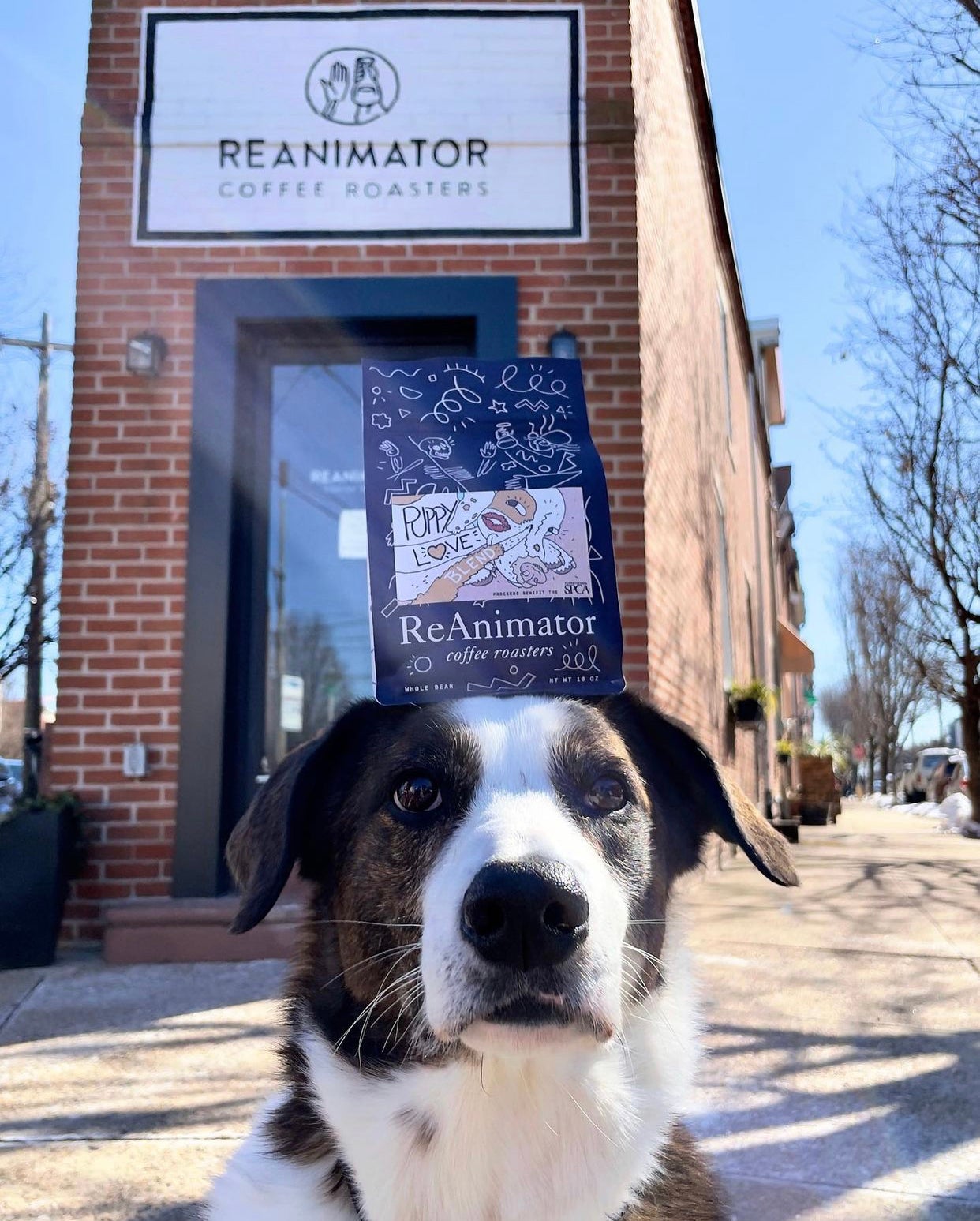 A Very Good Boy shows off Reanimator's special edition Puppy Love blend.