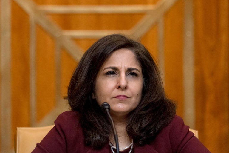 Neera Tanden, President Joe Biden's nominee for Director of the Office of Management and Budget (OMB), appears beofre a Senate Committee on the Budget hearing on Capitol Hill in Washington, Wednesday, Feb. 10, 2021.(AP Photo/Andrew Harnik, Pool)