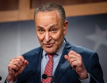 Senate Majority Leader Chuck Schumer, D-N.Y., speaks during a news conference at the Capitol in Washington, Tuesday, March 16, 2021. (Samuel Corum/Pool via AP)