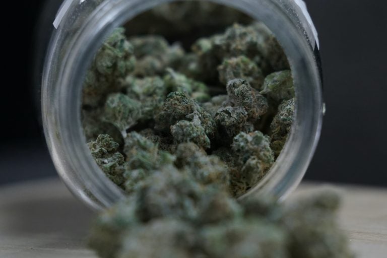 Marijuana buds are seen in a glass jar