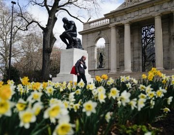 A pedestrian holding a face mask walks by daffodils blooming