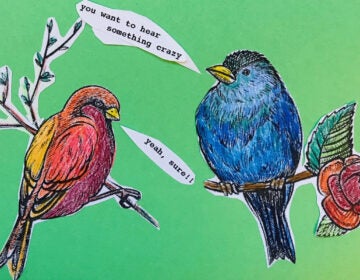 Erich Jarvis joins us for this bonus episode of The Pulse on the language of birds and other animals. (Illustration by Maiken Scott)