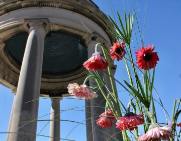 The Philadelphia Flower Show