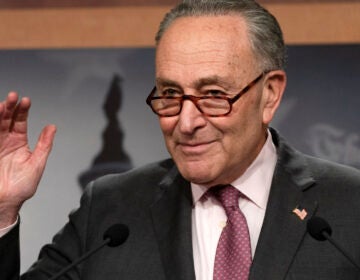 Senate Majority Leader Chuck Schumer, D-N.Y., speaks to the media