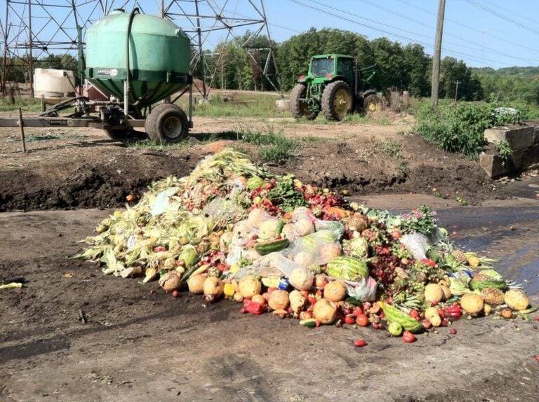 A pile of food is pictured on a farm