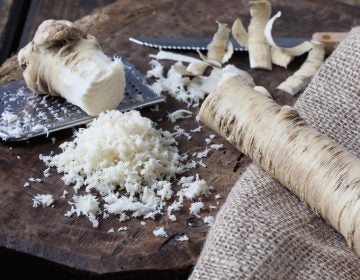 Horseradish will be on many Seder tables. It's a symbol of the bitterness of slavery and also the harshness of life today.