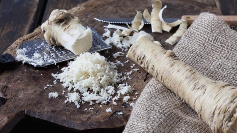 Horseradish will be on many Seder tables. It's a symbol of the bitterness of slavery and also the harshness of life today.