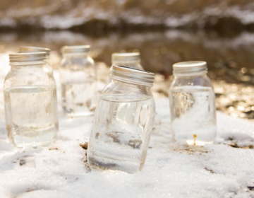 Water samples on the banks of Valley Creek.