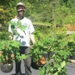 Up to 1,000 residents will be able to receive a free tree to plant on their property thanks to a city program. (TreePhilly)
