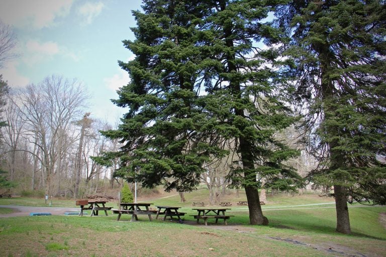 A picnic area at Ridley Creek State Park in Delaware County, Pa. (Emma Lee/WHYY)