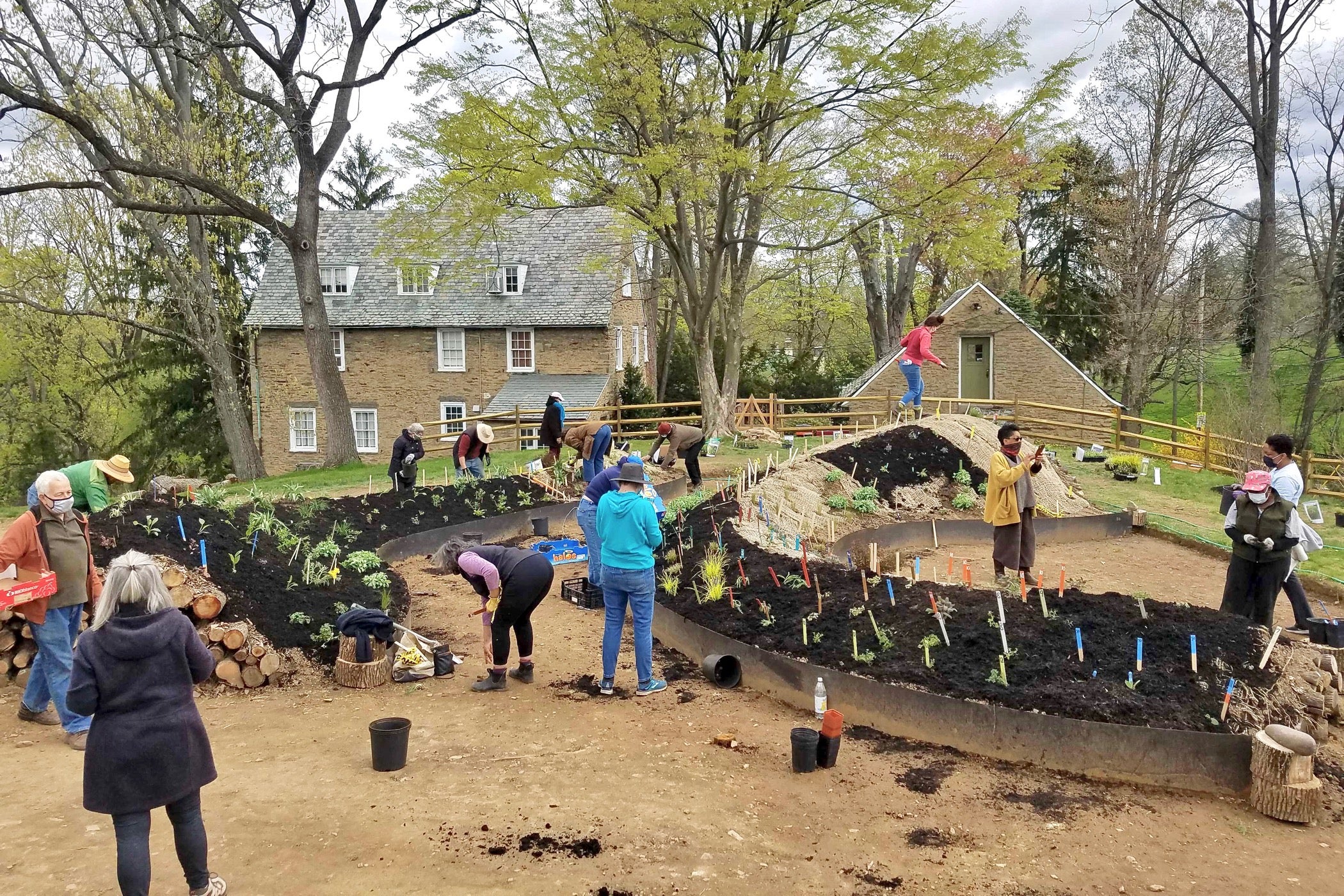 Volunteers plant hugel mounds on the grounds of the Woodmere Art Museum