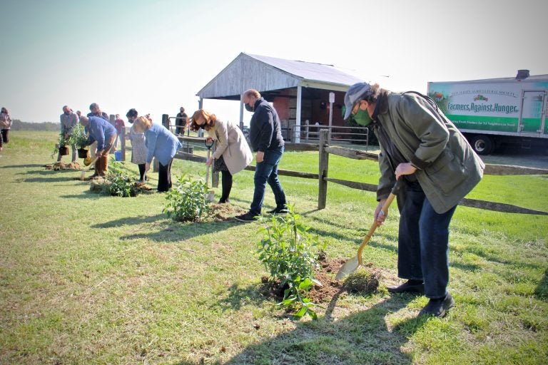 State and local officials plant butterfly bushes at the groundbreaking for the Laurel Run Land Stewardship Center in Delran, N.J. (Emma Lee/WHYY)