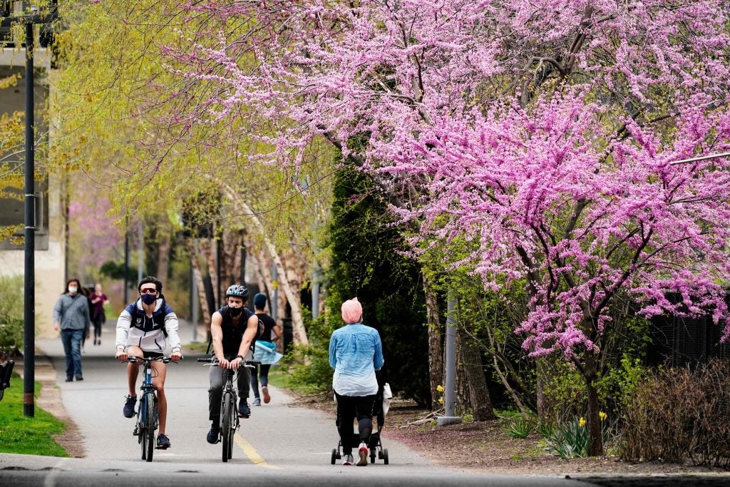 People move along the Schuylkill River Trail