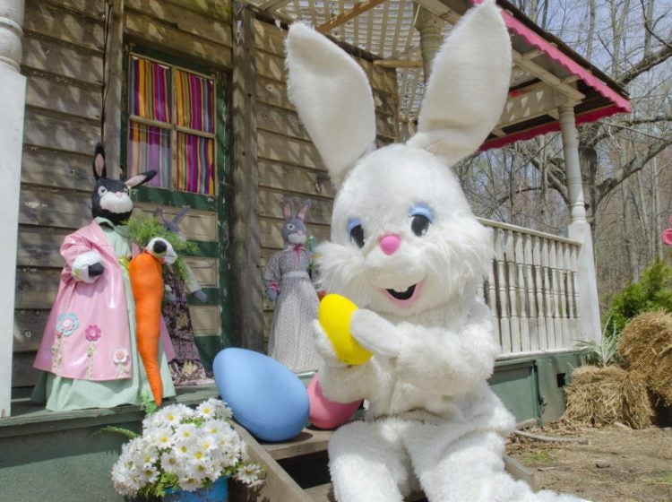 Easter Bunny (Linvilla Orchard)