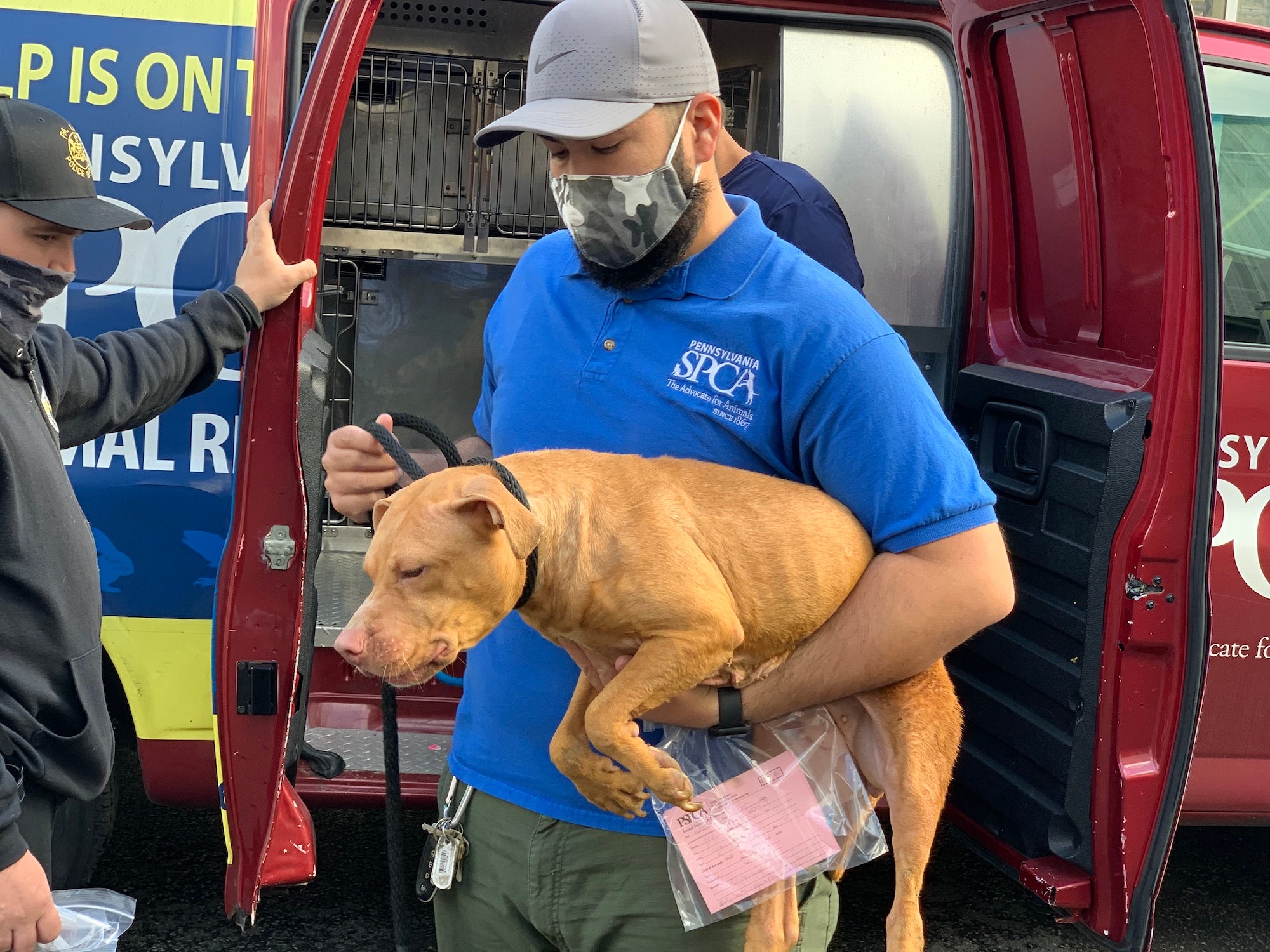 A PSPCA worker transports Sorbet the dog