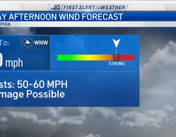 Winds could gust at 50 to 60 mph Friday. (NBC10)