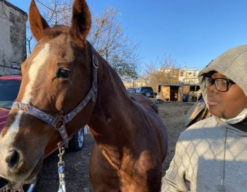 Nahye Hyman stands next to a horse