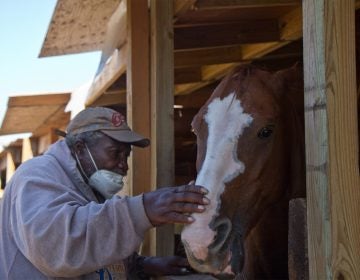 Ellis Ferrell, 81, founder of the Fletcher Street Urban Riding Club, feeds a mint to a horse called “El Dog.