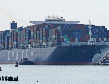 The CMA CGM Marco Polo makes it way toward the Elizabeth-Port Authority Marine Terminal as seen from Bayonne, N.J., Thursday, May 20, 2021. (AP Photo/Seth Wenig)