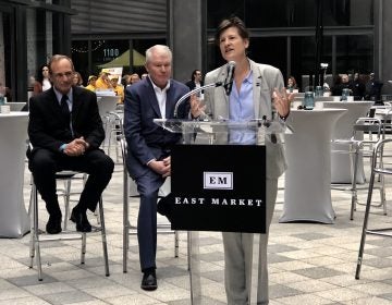 Philly Development and Planning Director Anne Fadullon speaks at a 2018 event. (Billy Penn/Twitter)