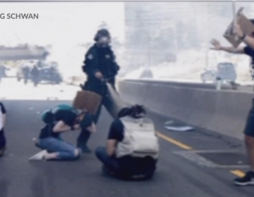 Police officer pepper-sprays protesters