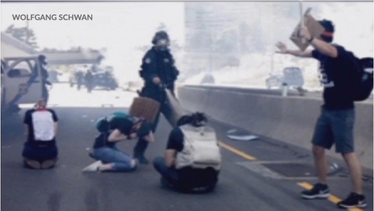 Police officer pepper-sprays protesters