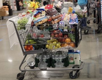 A shopper's full cart on line at the ShopRite