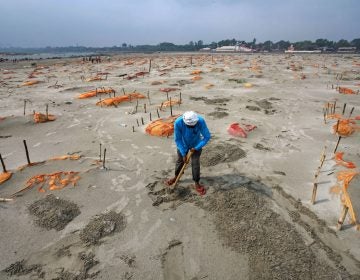 Rains have washed away the top layer of sand of shallow graves at a cremation ground on the banks of the Ganges River in Shringverpur, northwest of Allahabad, Uttar Pradesh, India. Coronavirus testing is limited in parts of rural India, but some of the people buried there are believed to have died of COVID-19. (Ritesh Shukla/Getty Images)