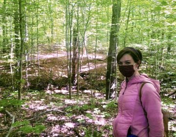 Katherine Evers, assistant park superintendent, said the work has helped the native seed base return. (Cris Barrish/WHYY)