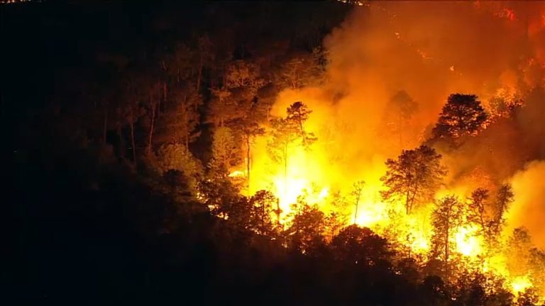 Crews battle a wildfire along Route 9 in Little Egg Harbor Township.