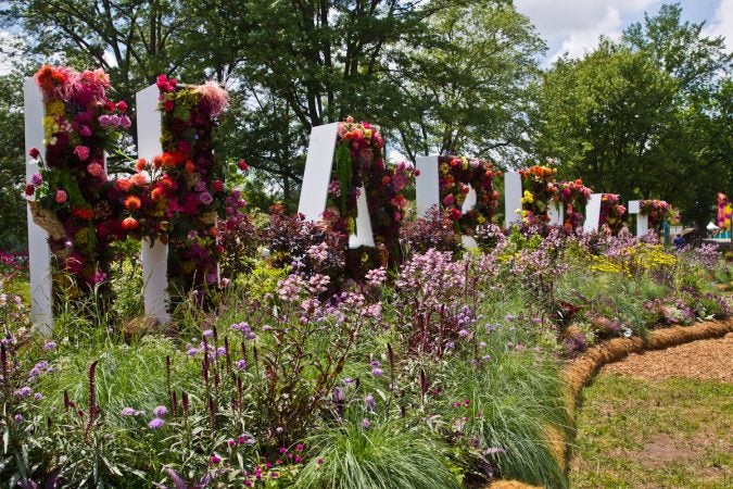 The 2021 Flower Show kicked off for Pennsylvania Horticultural Society members Friday June 4, and opens to the public Saturday. For the first time, the show is being held outdoors due to the COVID-19 pandemic at FDR Park in South Philadelphia. (Kimberly Paynter/WHYY)