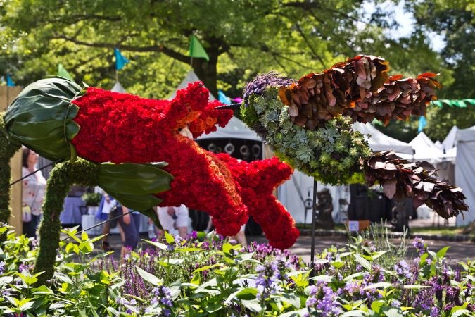 The 2021 Flower Show kicked off for Pennsylvania Horticultural Society members Friday June 4, and opens to the public Saturday. For the first time, the show is being held outdoors due to the COVID-19 pandemic at FDR Park in South Philadelphia. (Kimberly Paynter/WHYY)