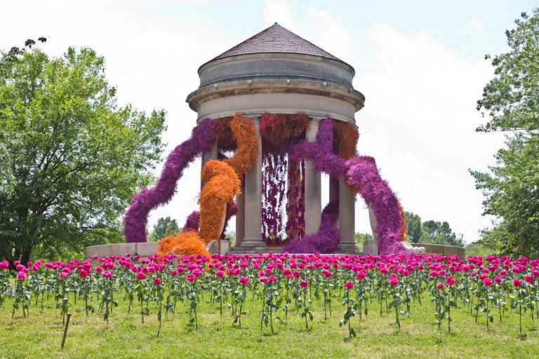 The 2021 Flower Show kicked off for Pennsylvania Horticultural Society members Friday June 4, and opens to the public Saturday. For the first time, the show is being held outdoors due to the COVID-19 pandemic at FDR Park in South Philadelphia. (Kimberly Paynter/WHYY)