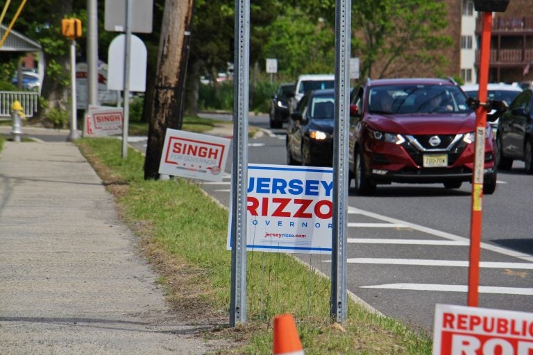 Signs for Republican candidates for governor dot a roadside in Toms River, N.J. (Emma Lee/WHYY)