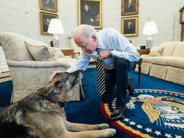 President Biden pets the Biden family dog Champ in the Oval Office in February. On Saturday, Joe and Jill Biden announced that Champ had died. (Adam Schultz/White House)