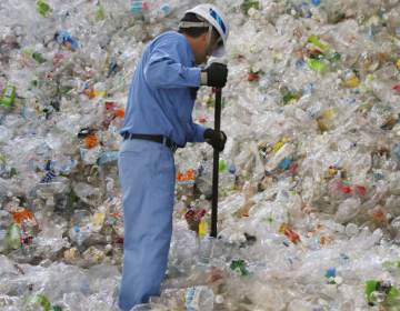 A plastic recycling company worker sorts out plastic bottles