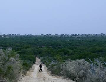 A Border Patrol agent walks along a dirt road near the U.S.-Mexico border, in Roma, Texas, in May. (Gregory Bull/AP)