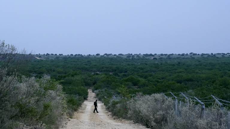 A Border Patrol agent walks along a dirt road near the U.S.-Mexico border, in Roma, Texas, in May. (Gregory Bull/AP)