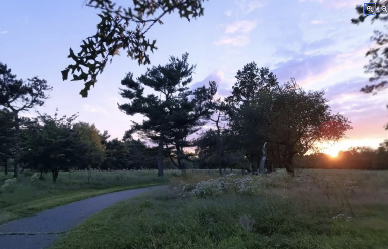 A trail in FDR park leads into the distance, with green grass and trees on either side. It's dusk and the sun is setting.